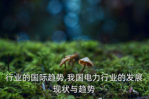 行业的国际趋势,我国电力行业的发展现状与趋势