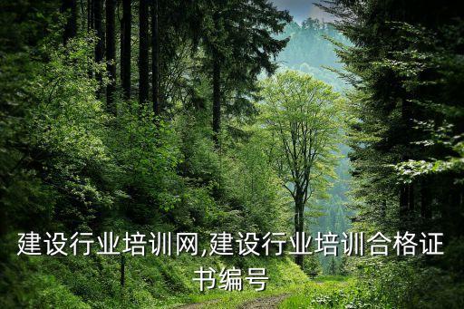 建设行业培训网,建设行业培训合格证书编号