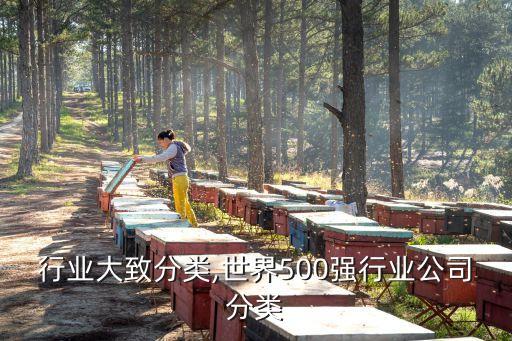 公司行业大致分类,世界500强行业公司分类