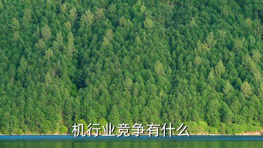 机行业竞争有什么