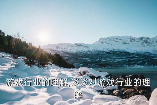 游戏行业的理解,谈谈对游戏行业的理解