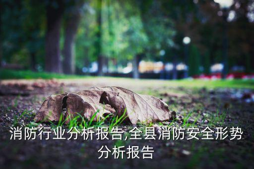 美国消防行业分析报告,全县消防安全形势分析报告