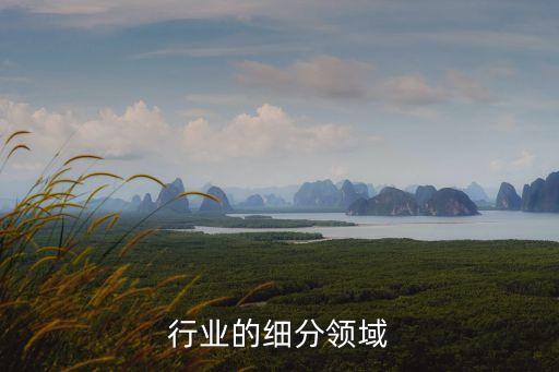 服装行业的细分领域