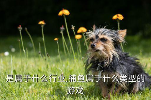是属于什么行业,捕鱼属于什么类型的游戏