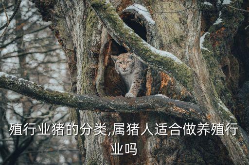 殖行业猪的分类,属猪人适合做养殖行业吗