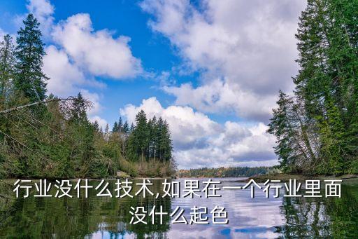 行业没什么技术,如果在一个行业里面没什么起色