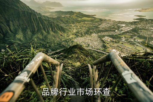 品牌行业市场环查