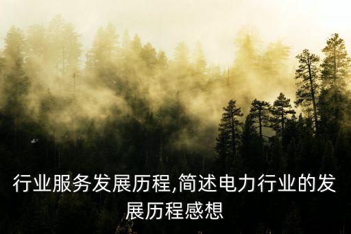 电力行业服务发展历程,简述电力行业的发展历程感想