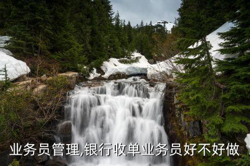 业务员管理,银行收单业务员好不好做
