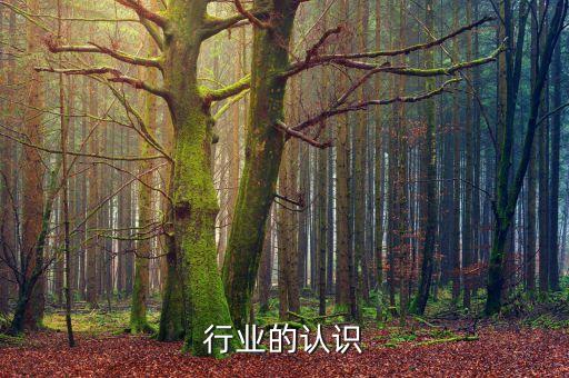 行业的认识