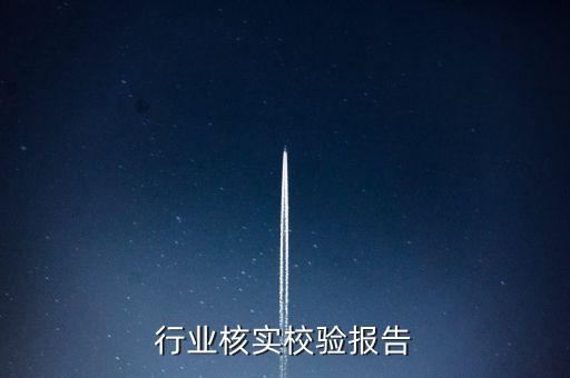 国标行业核实校验报告
