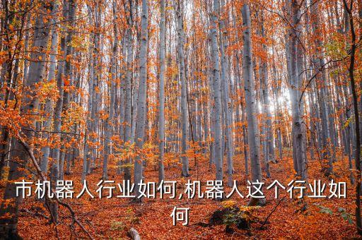 市机器人行业如何,机器人这个行业如何