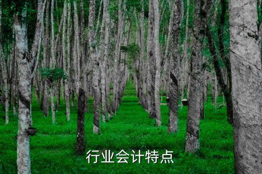 行业会计特点
