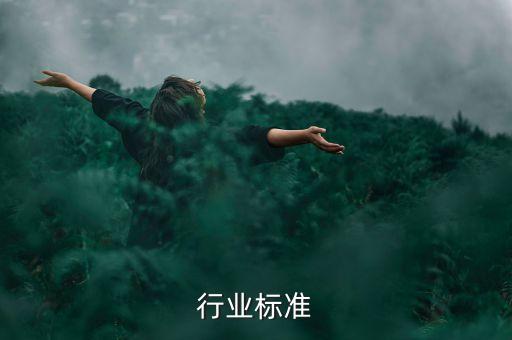 防雷行业标准