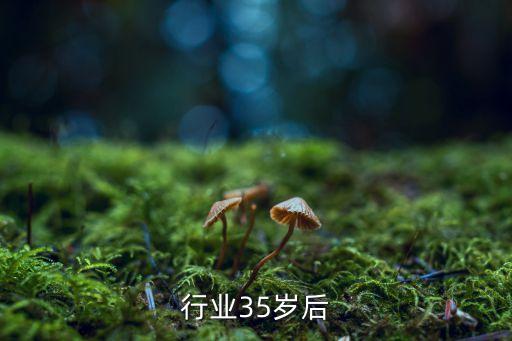 行业35岁后