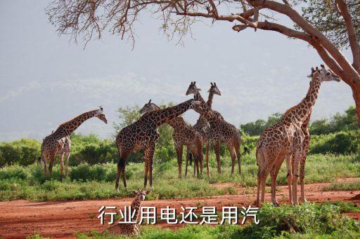 行业用电还是用汽