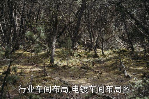 行业车间布局,电镀车间布局图