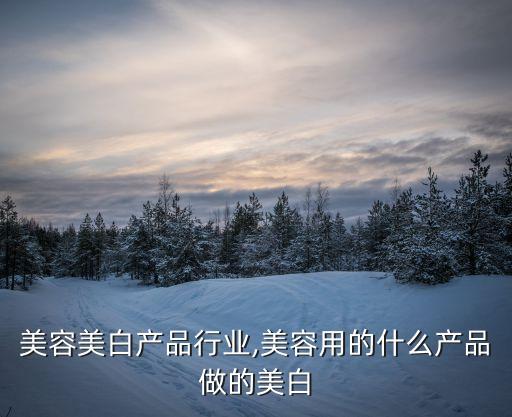 目前美容美白产品行业,美容用的什么产品做的美白