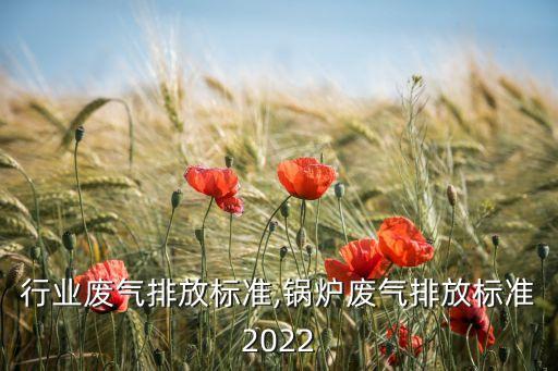 行业废气排放标准,锅炉废气排放标准2022
