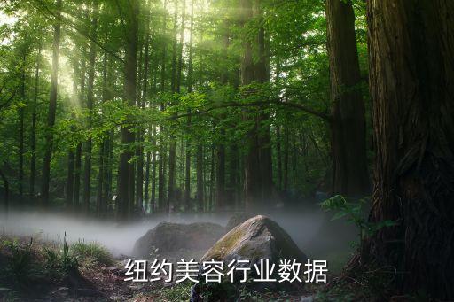 纽约美容行业数据
