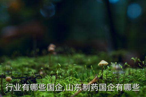行业有哪些国企,山东制药国企有哪些