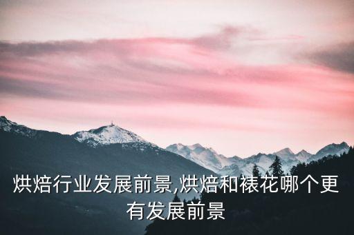 私人烘焙行业发展前景,烘焙和裱花哪个更有发展前景