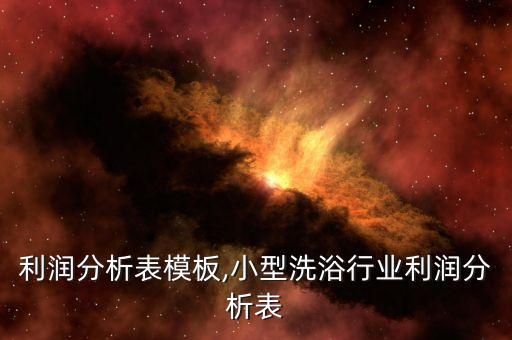 利润分析表模板,小型洗浴行业利润分析表