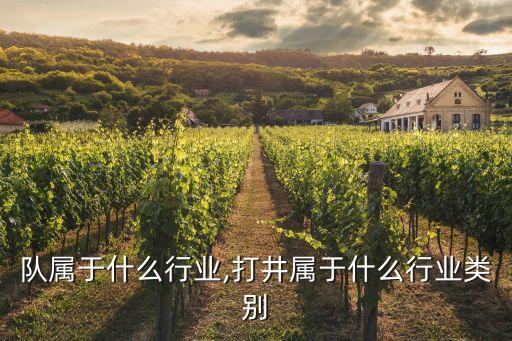 钻井队属于什么行业,打井属于什么行业类别