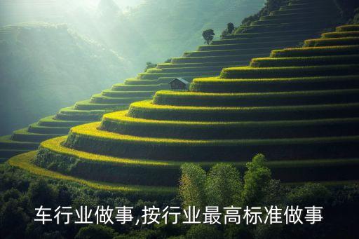 车行业做事,按行业最高标准做事