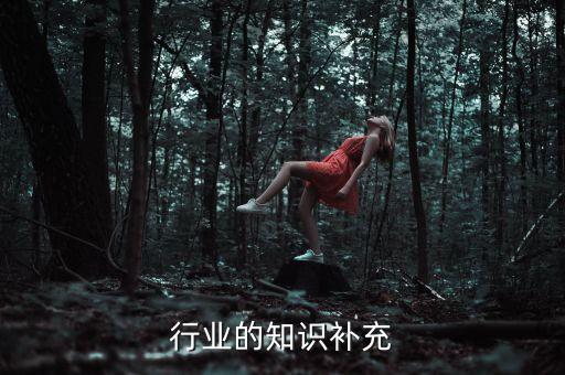 行业的知识补充