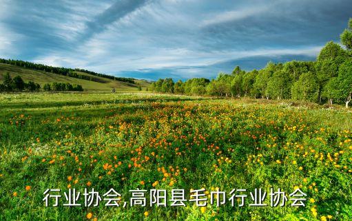 毛巾行业协会,高阳县毛巾行业协会