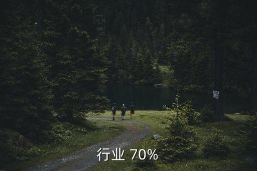 行业 70%
