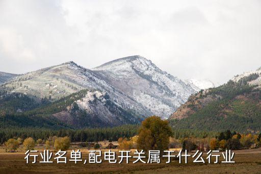 配电行业名单,配电开关属于什么行业