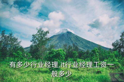 百度有多少行业经理?,it行业经理工资一般多少