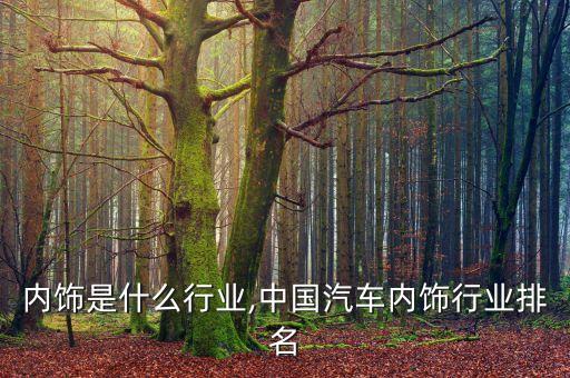 汽车内饰是什么行业,中国汽车内饰行业排名