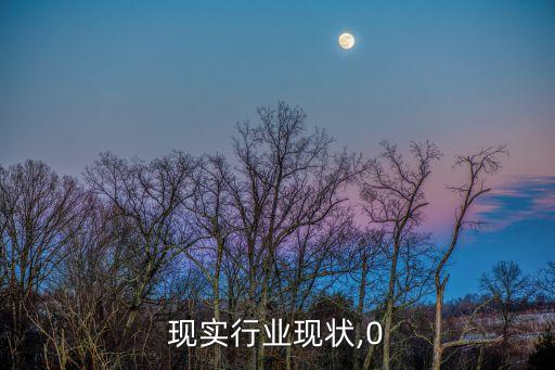 现实行业现状,0