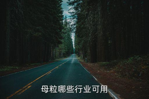 母粒哪些行业可用