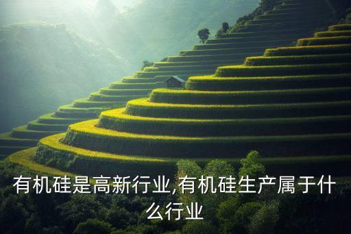 生产有机硅是高新行业,有机硅生产属于什么行业