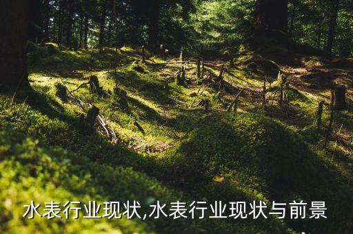 目前水表行业现状,水表行业现状与前景
