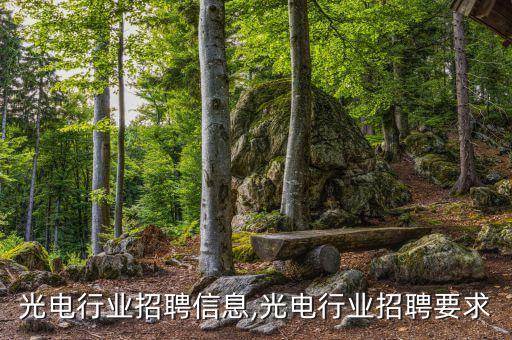 光电行业招聘信息,光电行业招聘要求