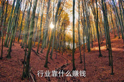 行业靠什么赚钱