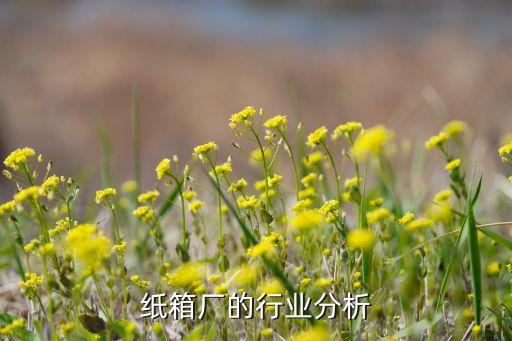 纸板纸箱厂的行业分析