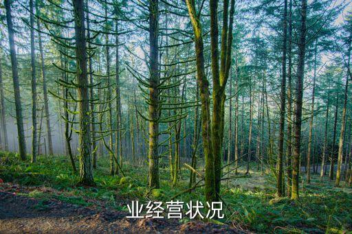 业经营状况