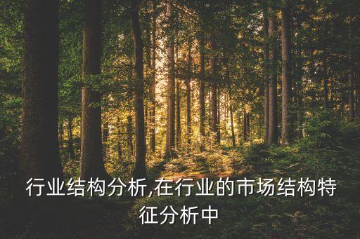  行业结构分析,在行业的市场结构特征分析中
