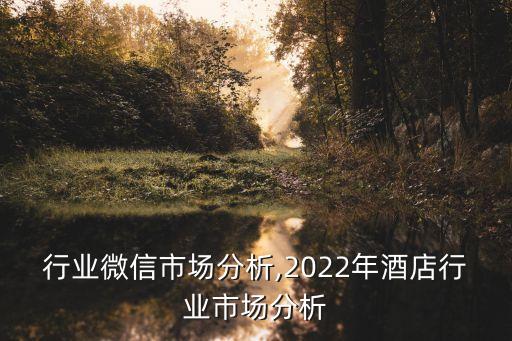 酒店行业微信市场分析,2022年酒店行业市场分析
