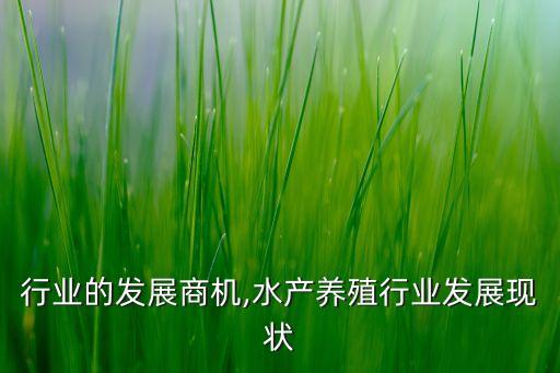 水产行业的发展商机,水产养殖行业发展现状