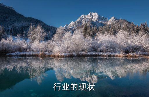 行业的现状