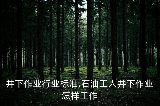 井下作业行业标准,石油工人井下作业怎样工作