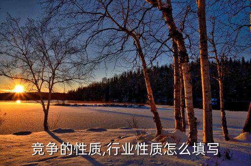行业竞争的性质,行业性质怎么填写