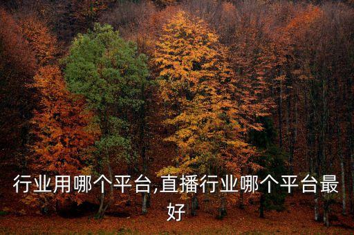 除尘行业用哪个平台,直播行业哪个平台最好